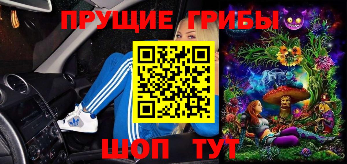 Ачхой-Мартан  Галлюциногенные грибы Psilocybine cubensis  Вход с VPN 